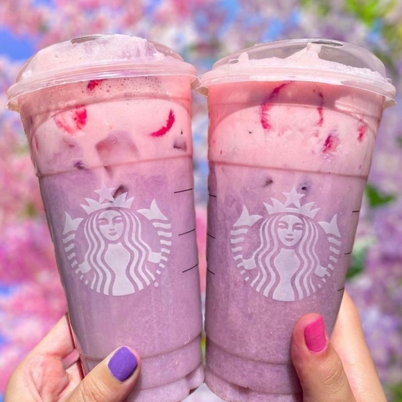 Meet your Posher, Evergreen Ally - Picture 7 of 16